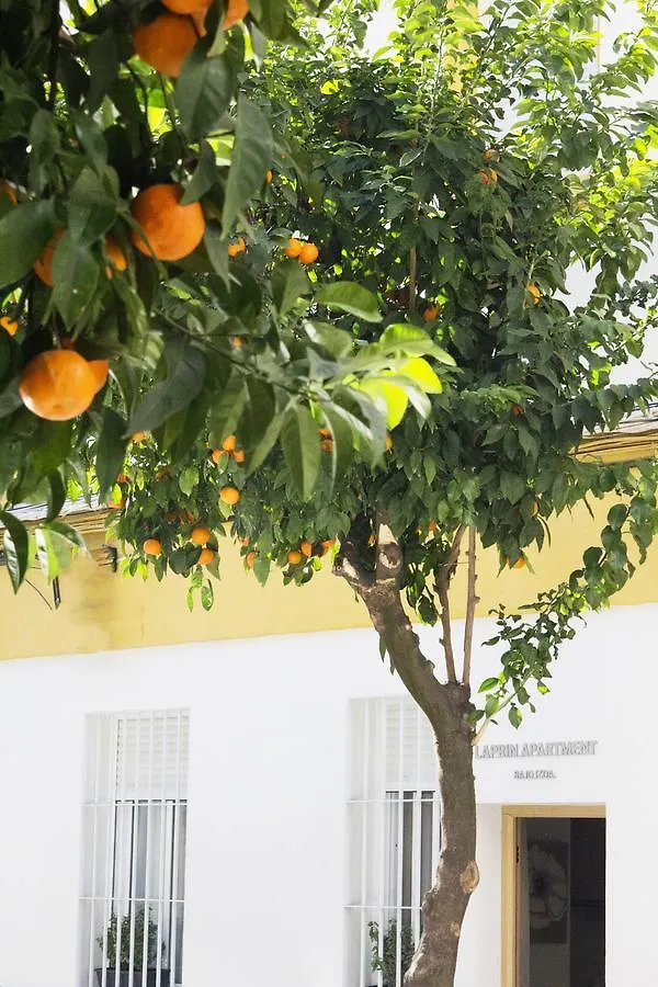 דירות קורדובה Meilan House